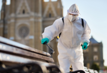 Expert Mold Removal and Certified Remediation Services in Parkville Pikesville