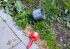 Emergency Drain Service Can Save Garden Beds